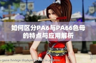 如何区分PA6与PA66色母的特点与应用解析