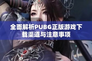 全面解析PUBG正版游戏下载渠道与注意事项