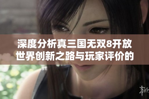 深度分析真三国无双8开放世界创新之路与玩家评价的分歧