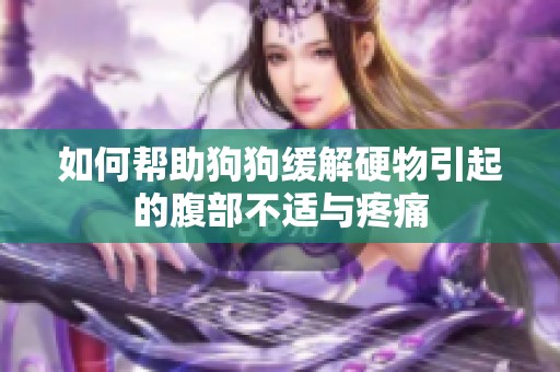 如何帮助狗狗缓解硬物引起的腹部不适与疼痛