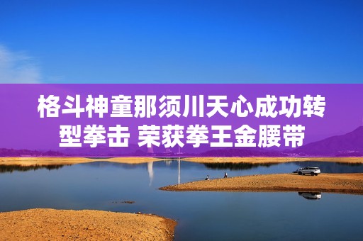 格斗神童那须川天心成功转型拳击 荣获拳王金腰带