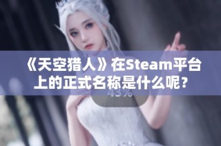 《天空猎人》在Steam平台上的正式名称是什么呢？