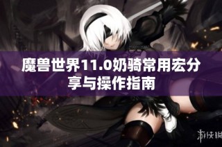 魔兽世界11.0奶骑常用宏分享与操作指南