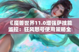 《魔兽世界11.0增强萨技能监控：狂风怒号使用策略全面解析》