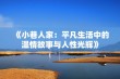 《小巷人家：平凡生活中的温情故事与人性光辉》