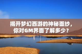 揭开梦幻西游的神秘面纱，你对GM界面了解多少？