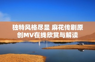 独特风格尽显 麻花传剧原创MV在线欣赏与解读