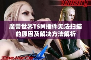 魔兽世界TSM插件无法扫描的原因及解决方法解析