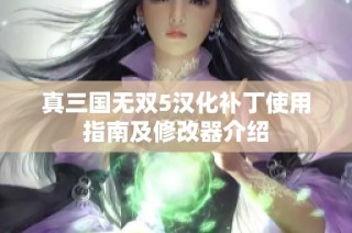 真三国无双5汉化补丁使用指南及修改器介绍