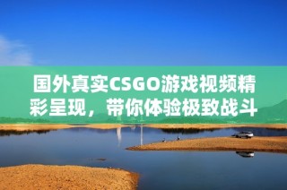 国外真实CSGO游戏视频精彩呈现，带你体验极致战斗快感