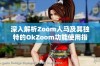 深入解析Zoom人马及其独特的OkZoom功能使用指南