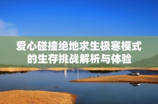 爱心碰撞绝地求生极寒模式的生存挑战解析与体验