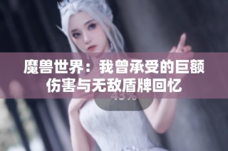 魔兽世界：我曾承受的巨额伤害与无敌盾牌回忆