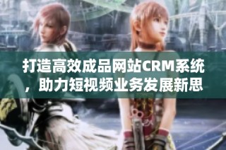 打造高效成品网站CRM系统，助力短视频业务发展新思路