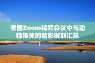 美国Zoom视频会议中与动物相关的精彩时刻汇总