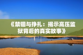 《禁锢与挣扎：揭示高压监狱背后的真实故事》