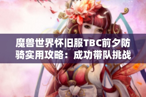 魔兽世界怀旧服TBC前夕防骑实用攻略：成功带队挑战血色堡垒