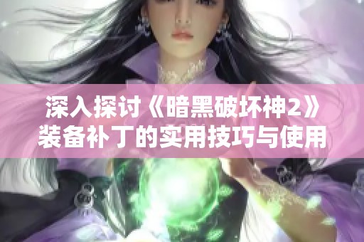 深入探讨《暗黑破坏神2》装备补丁的实用技巧与使用方法