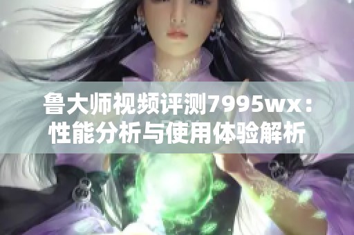 鲁大师视频评测7995wx：性能分析与使用体验解析