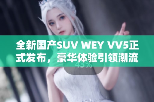 全新国产SUV WEY VV5正式发布，豪华体验引领潮流